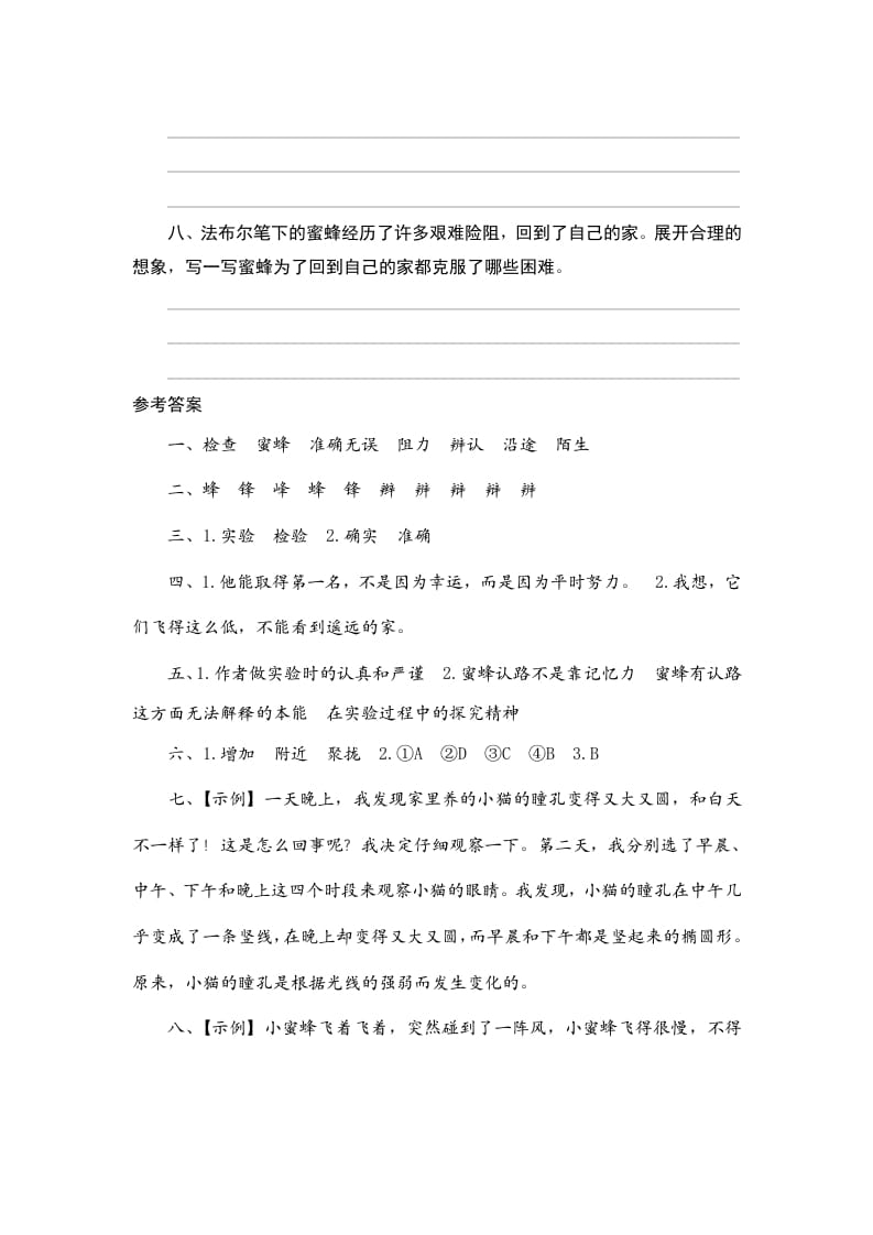 图片[3]-三年级语文下册14蜜蜂-学习资料站