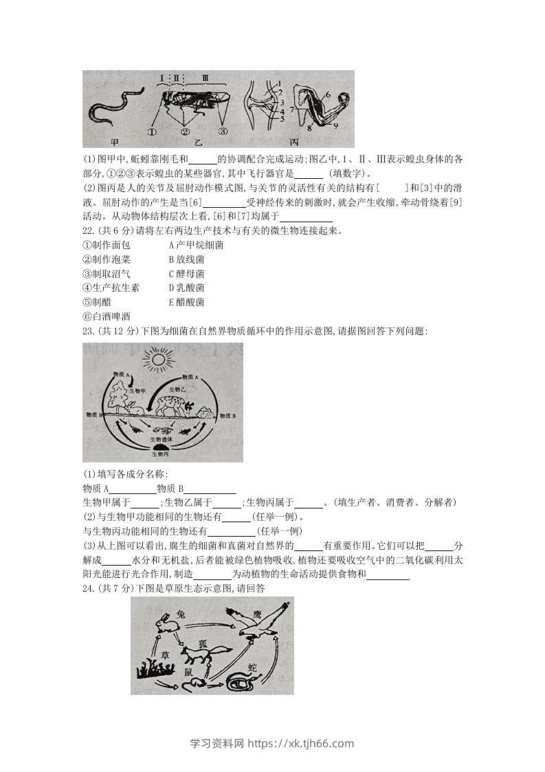 图片[3]-2020-2021学年河南省新乡市卫辉市八年级上学期期中生物试题及答案(Word版)-学习资料站