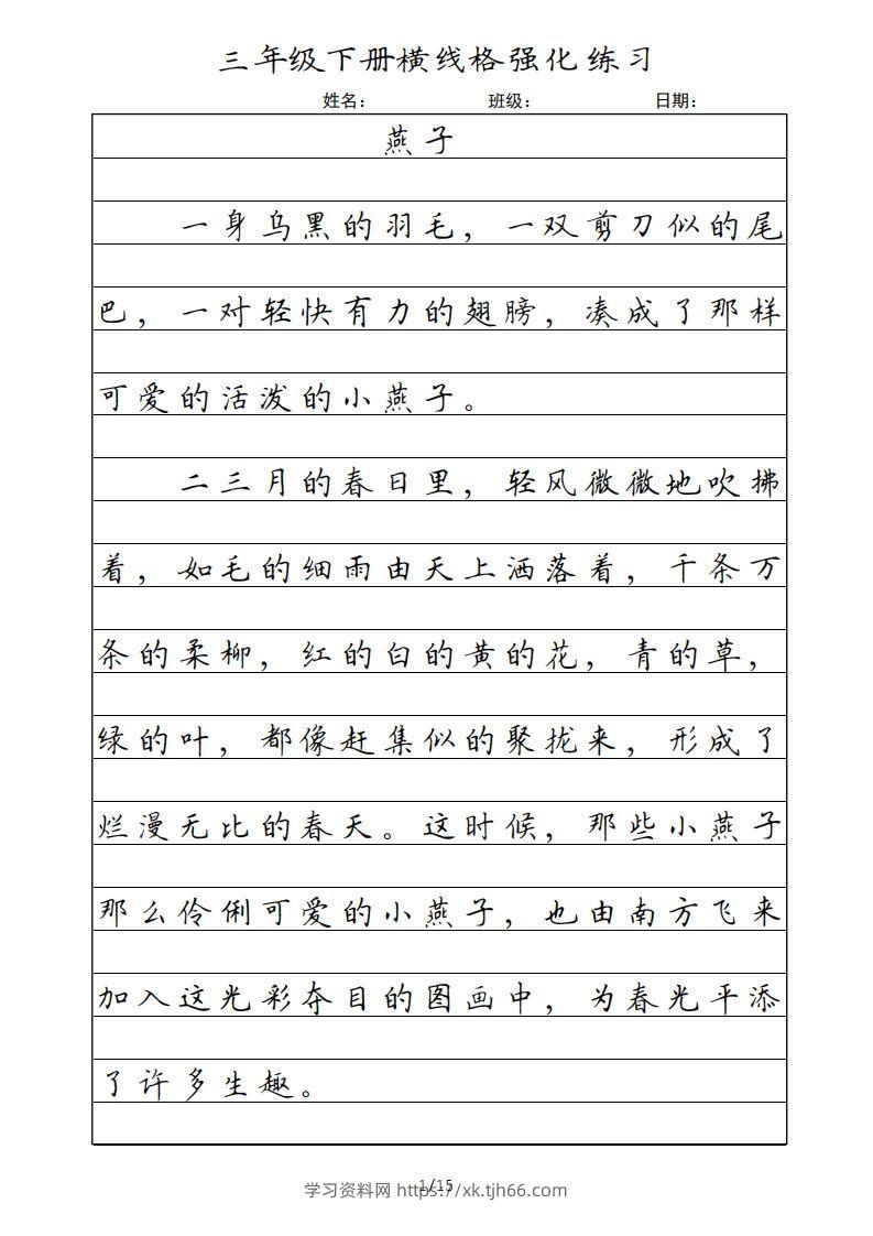 三年级语文下册横线格（部编版）-学习资料站