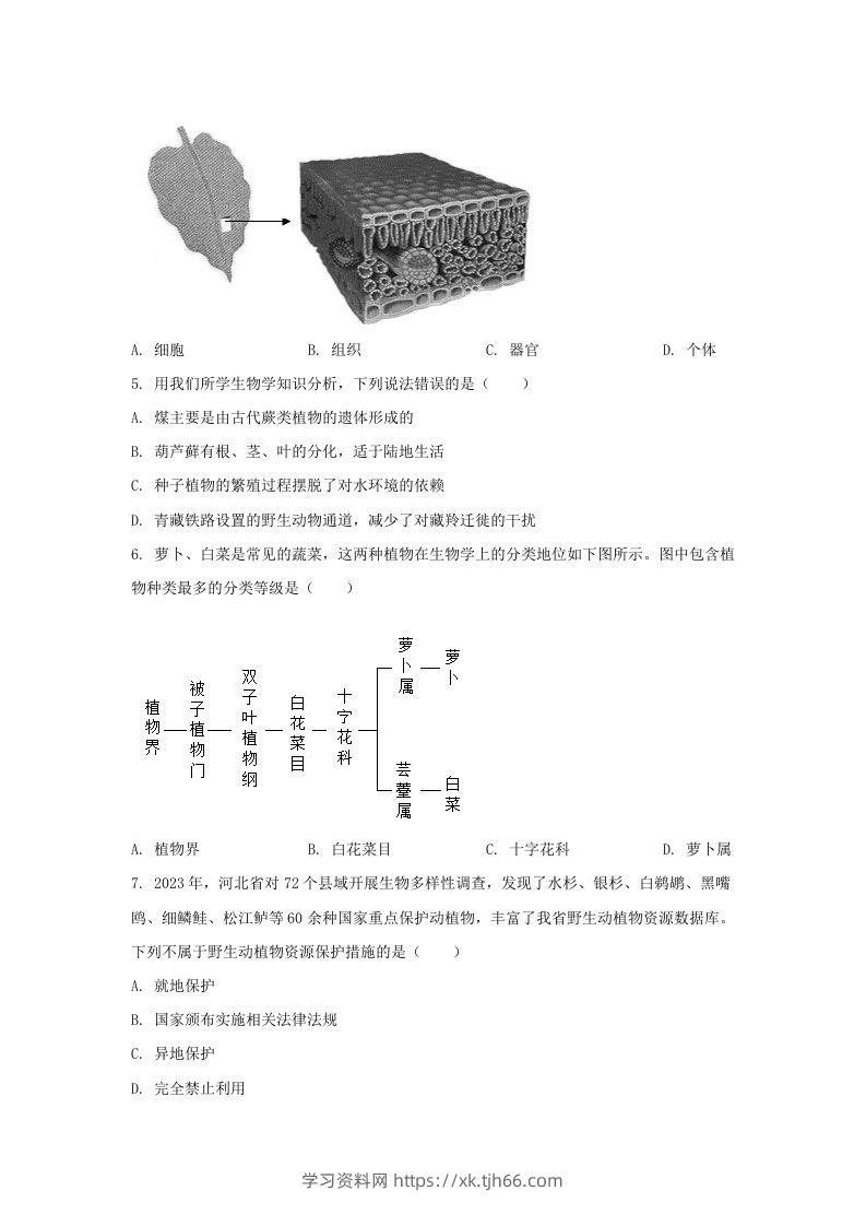 图片[2]-2024年河北邢台中考生物试题及答案(Word版)-学习资料站