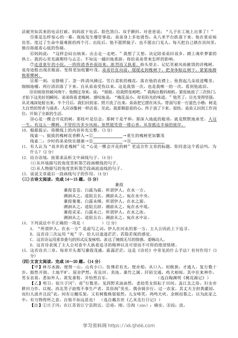 图片[3]-2023-2024学年广西河池市宜州区八年级下学期期中语文试题及答案(Word版)-学习资料站