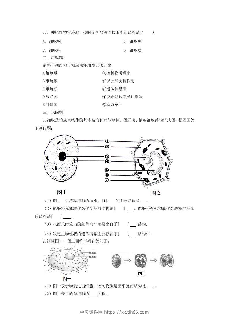 图片[3]-七年级上册生物第二单元第一章第四节试卷及答案(Word版)-学习资料站