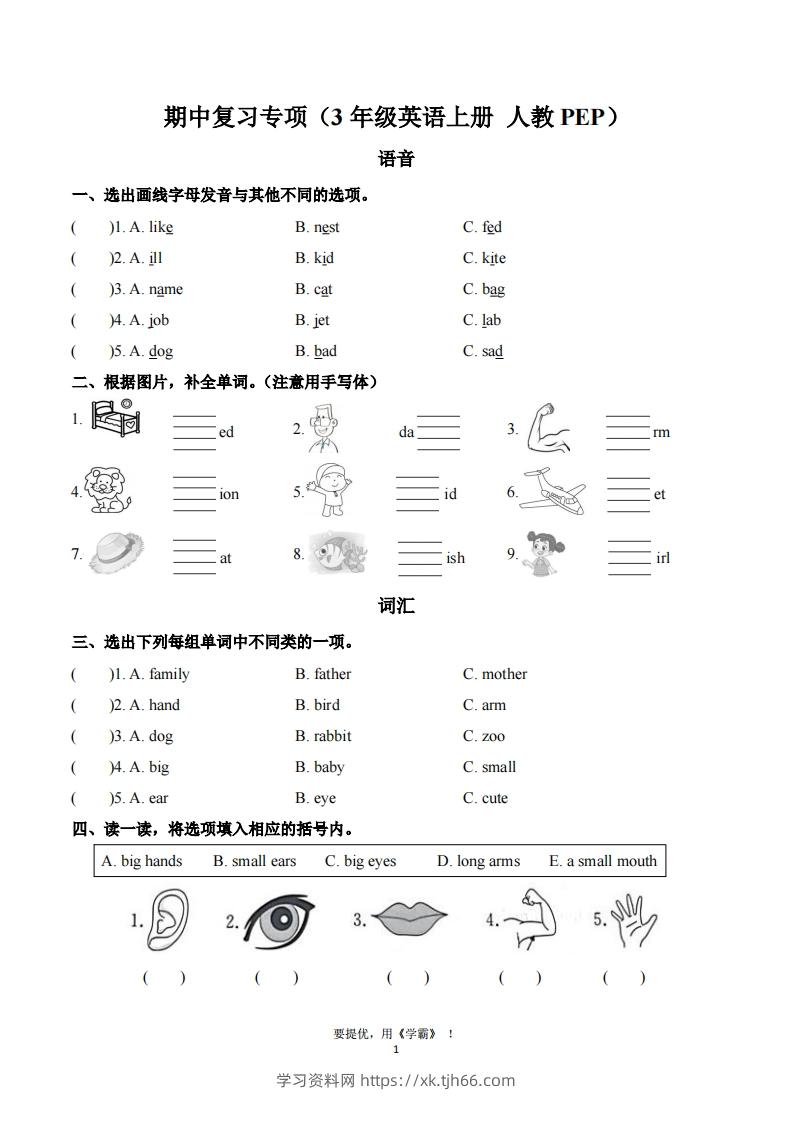 期中复习专项（三上英语人教版）-学习资料站