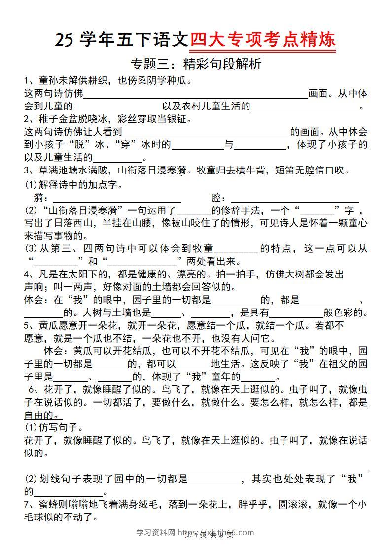 25学年五下语文四大专项考点精炼（专题三：精彩句段解析）-学习资料站
